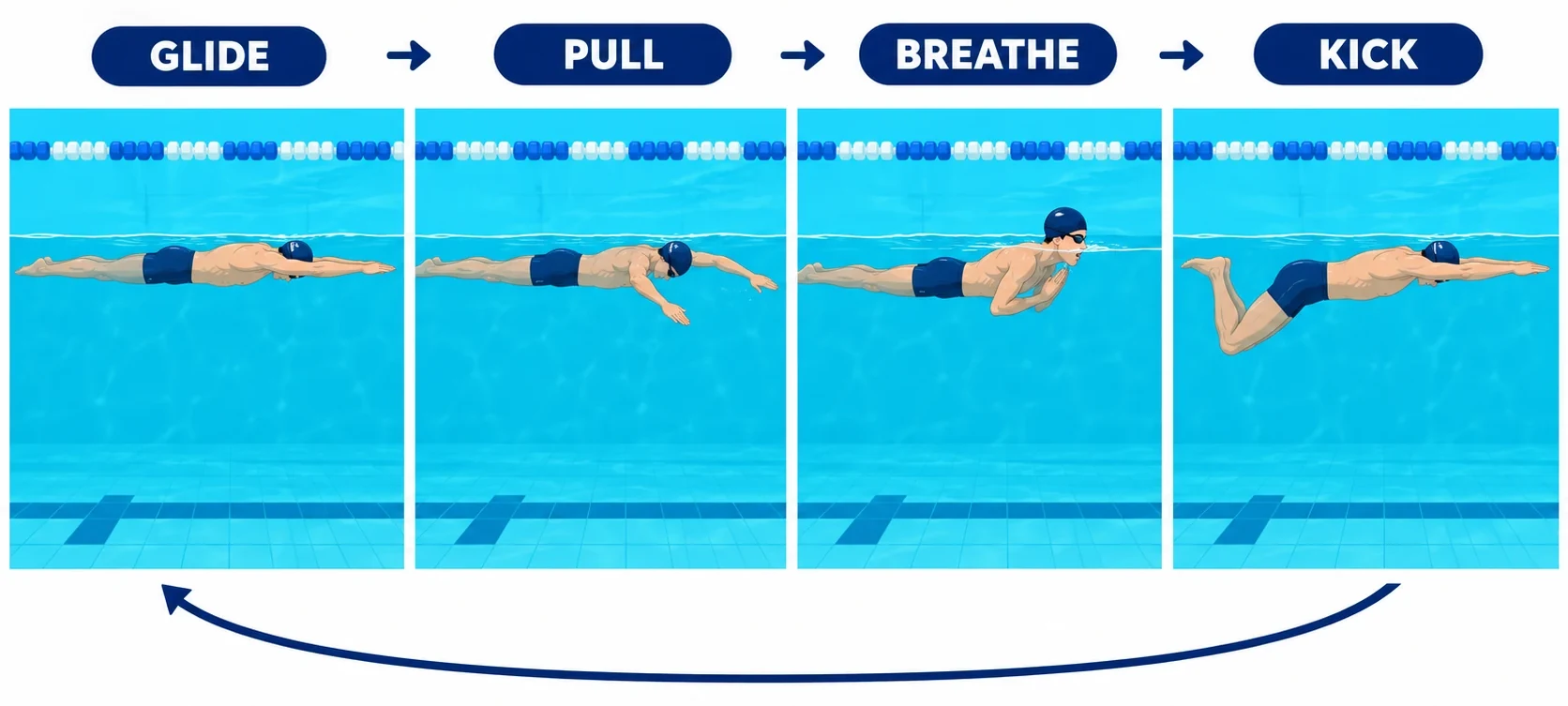 How to swim breaststroke in four phases: glide, pull, breathe and kick, shown as one swimmer's stroke cycle from the side.